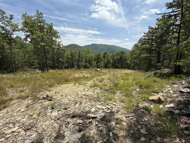 TBD Mountain Top Lane, Crimora, VA 24431 - photo 4