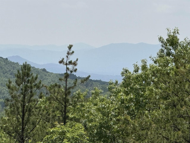 TBD Mountain Top Lane, Crimora, VA 24431 - photo 5