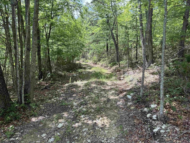 TBD Mountain Top Lane, Crimora, VA 24431 - photo 3