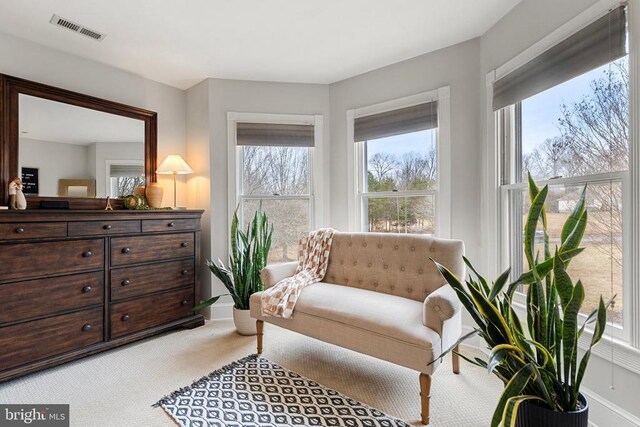 living area featuring carpet flooring