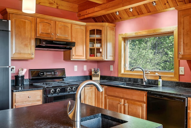 66 Spencer Ln, Lovingston, VA 22949 - kitchen featuring black appliances, a sink, beam ceiling, and under cabinet range hood