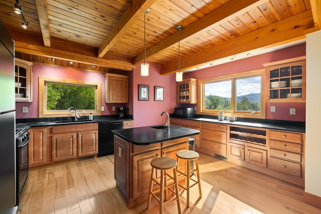 66 Spencer Ln, Lovingston, VA 22949 - kitchen featuring a sink, light wood finished floors, wooden ceiling, and black appliances