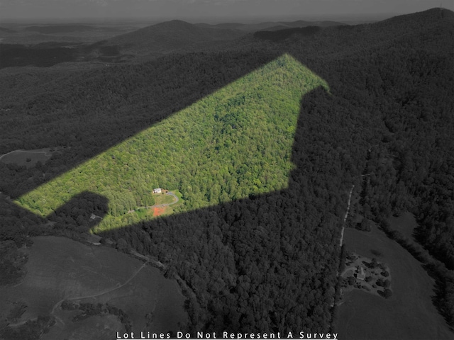 66 Spencer Ln, Lovingston, VA 22949 - bird's eye view featuring a forest view and a mountain view