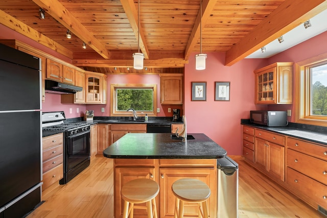 66 Spencer Ln, Lovingston, VA 22949 - kitchen with rail lighting, black appliances, light wood-style floors, and under cabinet range hood