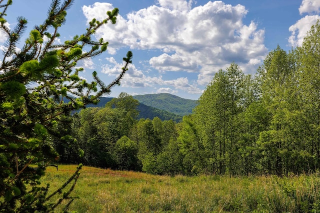 66 Spencer Ln, Lovingston, VA 22949 - property view of mountains featuring a view of trees