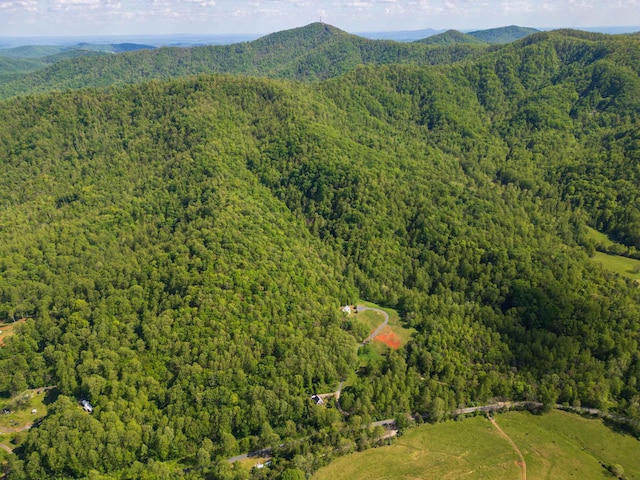 66 Spencer Ln, Lovingston, VA 22949 - birds eye view of property featuring a mountain view and a view of trees