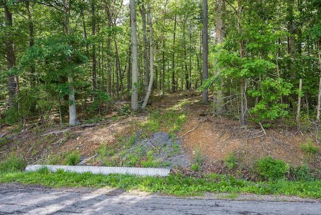TBDLOT1 Mill Ln, Elkton, VA 22827