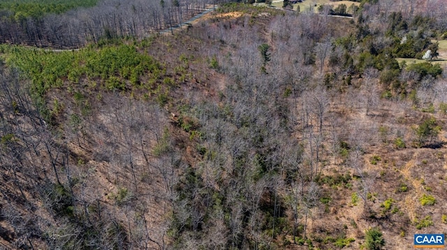 0 Norwood Rd, Gladstone, VA 24553