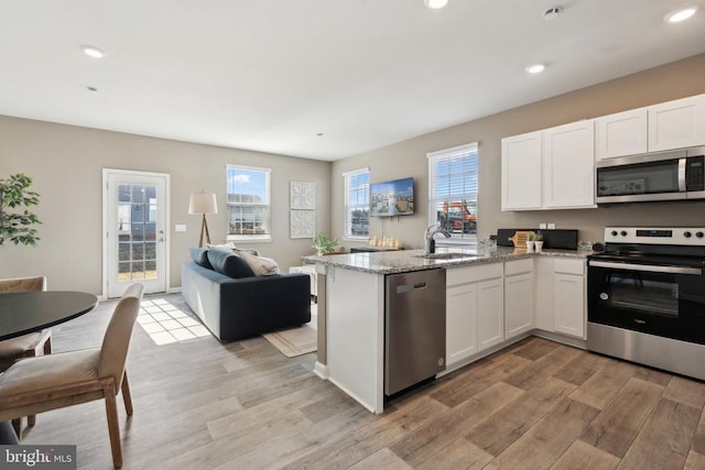 139 Rae Ct, Luray, VA 22835 - kitchen featuring stainless steel appliances, light wood-style floors, open floor plan, plenty of natural light, and recessed lighting