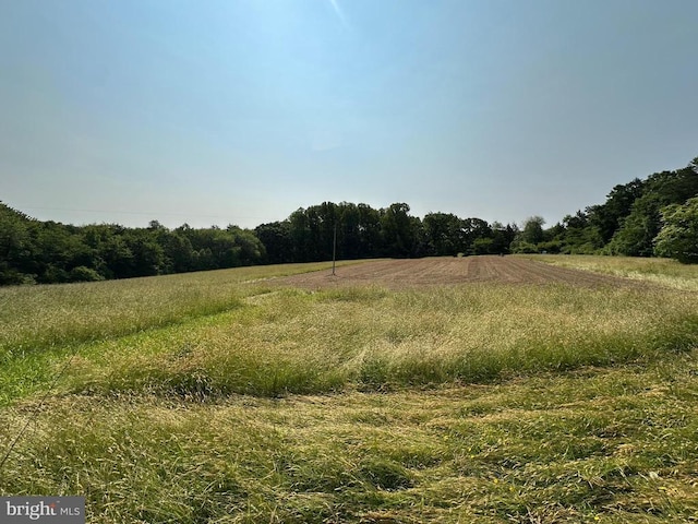 10017 Hayden Rd, Spotsylvania, VA 22551 - view of woods featuring a rural view