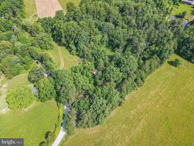 10017 Hayden Rd, Spotsylvania, VA 22551 - photo 9