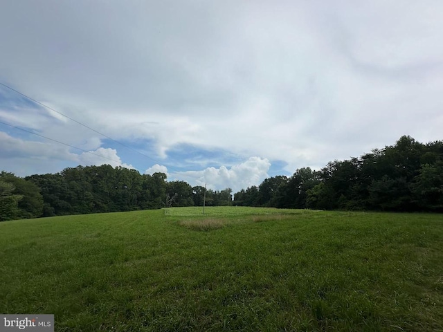 10017 Hayden Rd, Spotsylvania, VA 22551 - photo 34