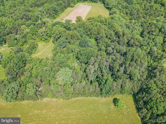 10017 Hayden Rd, Spotsylvania, VA 22551 - aerial view of property and surrounding area with a forest