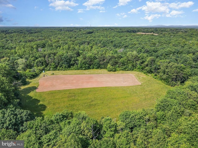 10017 Hayden Rd, Spotsylvania, VA 22551 - bird's eye view of a forest