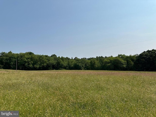 10017 Hayden Rd, Spotsylvania, VA 22551 - view of tree filled area
