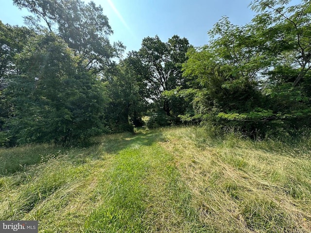 10017 Hayden Rd, Spotsylvania, VA 22551 - view of undeveloped land