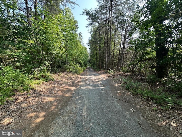 10017 Hayden Rd, Spotsylvania, VA 22551 - view of street with a wooded view