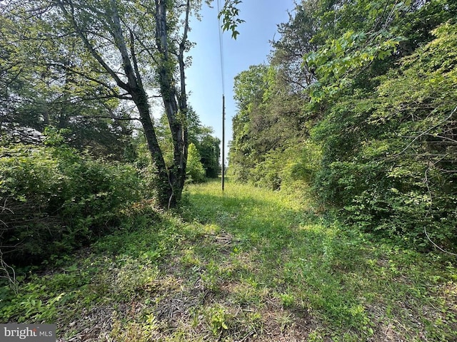 10017 Hayden Rd, Spotsylvania, VA 22551 - view of undeveloped land
