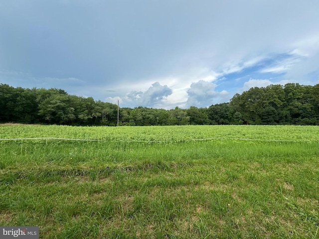 10017 Hayden Rd, Spotsylvania, VA 22551 - photo 35
