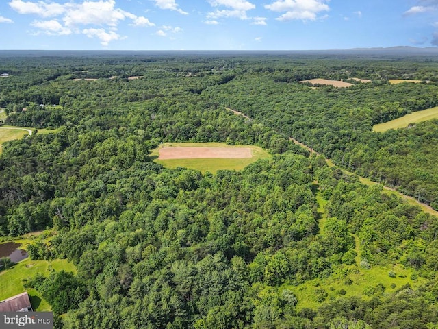 10017 Hayden Rd, Spotsylvania, VA 22551 - aerial view of a forest