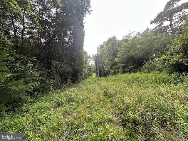 10017 Hayden Rd, Spotsylvania, VA 22551 - photo 32