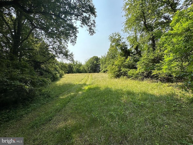 10017 Hayden Rd, Spotsylvania, VA 22551 - view of yard featuring a wooded view