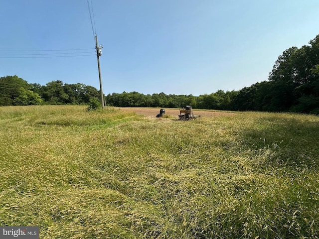 10017 Hayden Rd, Spotsylvania, VA 22551 - view of yard featuring a rural view