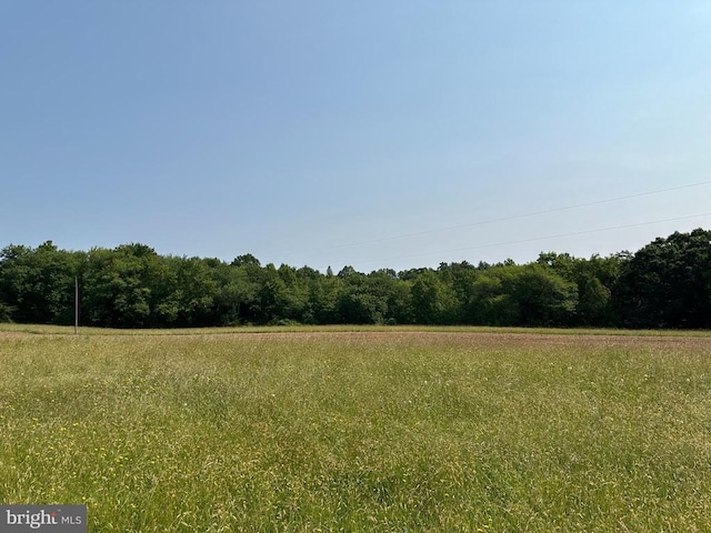 10017 Hayden Rd, Spotsylvania, VA 22551 - view of woods