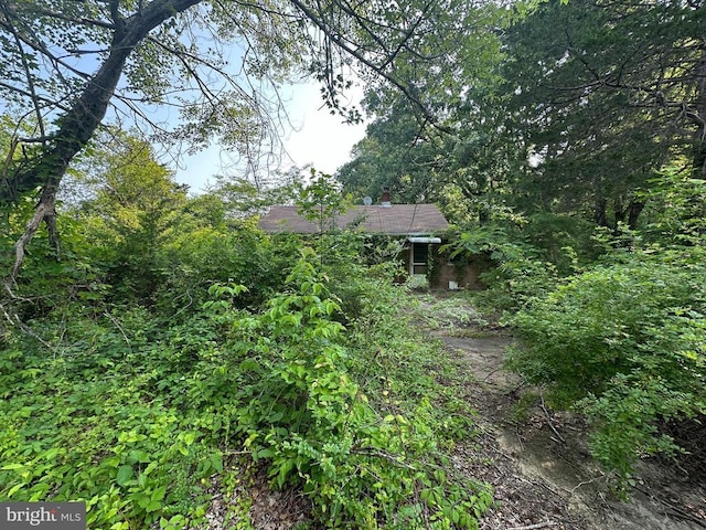 10017 Hayden Rd, Spotsylvania, VA 22551 - view of yard