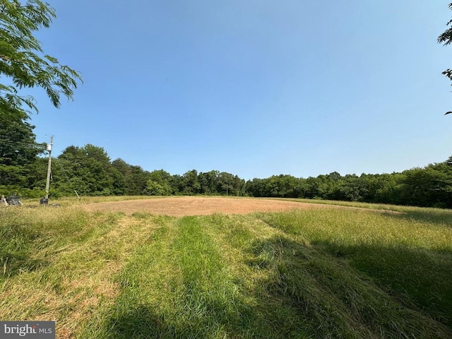 10017 Hayden Rd, Spotsylvania, VA 22551 - view of wooded area featuring a view of countryside