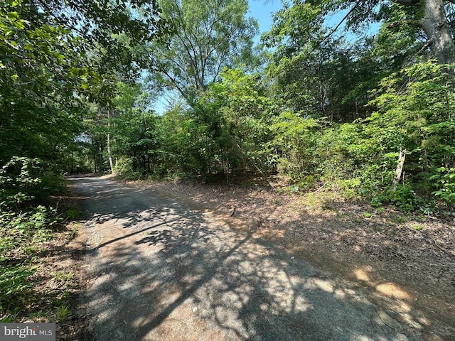 10017 Hayden Rd, Spotsylvania, VA 22551 - view of road with a wooded view