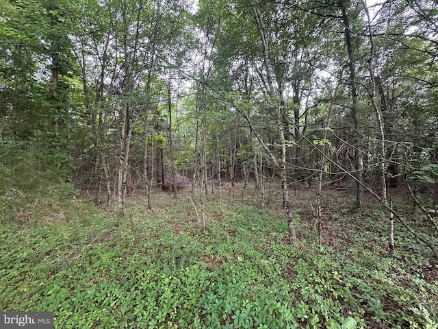 10017 Hayden Rd, Spotsylvania, VA 22551 - photo 33