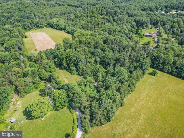 10017 Hayden Rd, Spotsylvania, VA 22551 - aerial view of property's location featuring a heavily wooded area