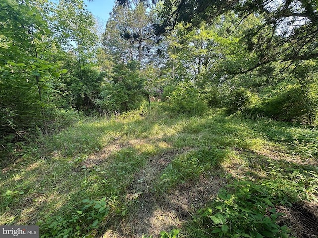 10017 Hayden Rd, Spotsylvania, VA 22551 - view of tree filled area