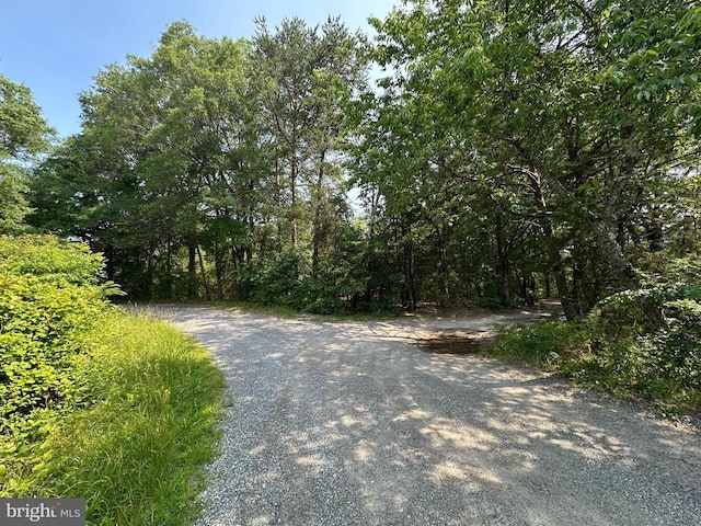 10017 Hayden Rd, Spotsylvania, VA 22551 - view of road featuring a view of trees