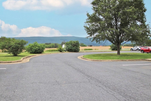 1282 Ox Rd Unit A-12, Woodstock, VA 22664