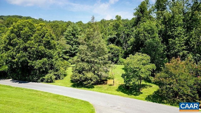 LOT30 Emerson Dr, Charlottesville, VA 22901 - photo 4