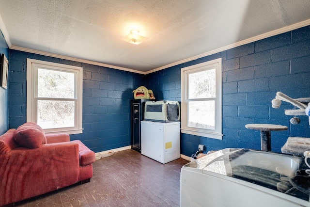 2077 Deerfield Valley Rd, West Augusta, VA 24485 - bedroom featuring dark wood finished floors, multiple windows, a textured ceiling, and ornamental molding