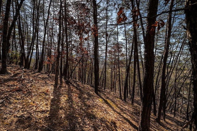 2077 Deerfield Valley Rd, West Augusta, VA 24485 - view of landscape with a forest view