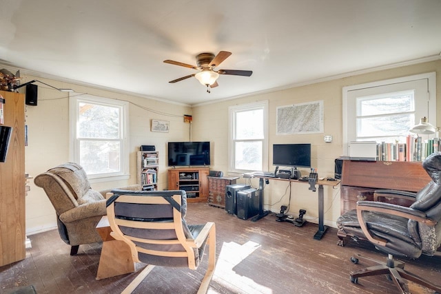2077 Deerfield Valley Rd, West Augusta, VA 24485 - office space featuring crown molding, wood-type flooring, a ceiling fan, and a healthy amount of sunlight