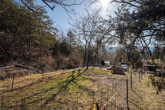 2077 Deerfield Valley Rd, West Augusta, VA 24485 - view of yard with an outbuilding and fence