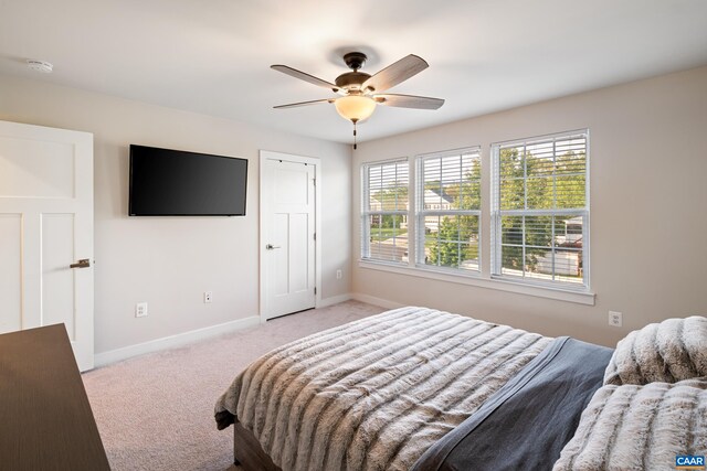 4561 Sunset Dr, Charlottesville, VA 22911 - photo 26