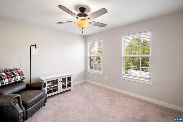 4561 Sunset Dr, Charlottesville, VA 22911 - photo 24