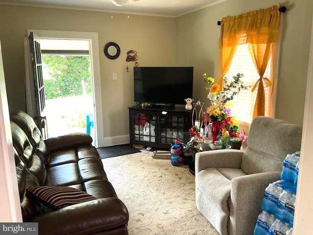 238 Landon Ln, Orange, VA 22960 - photo 15