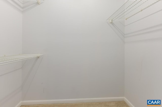 117 Turtle Creek Rd Unit 9, Charlottesville, VA 22901 - spacious closet featuring light colored carpet