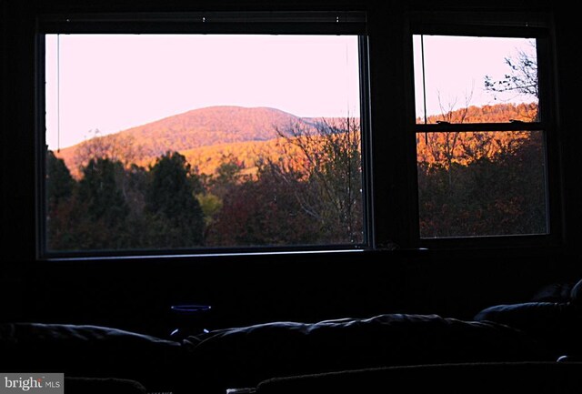 33 Circle Rd E, Madison, VA 22727 - detailed view of a mountain view
