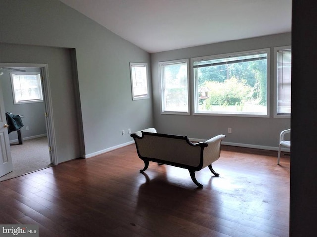 33 Circle Rd E, Madison, VA 22727 - living area featuring wood finished floors, lofted ceiling, and baseboards