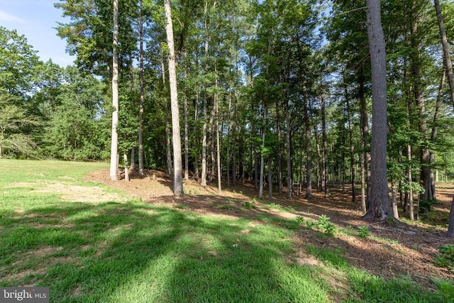 13250 Harbor Dr, Orange, VA 22960 - photo 42