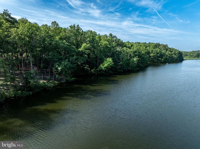 13250 Harbor Dr, Orange, VA 22960 - photo 38