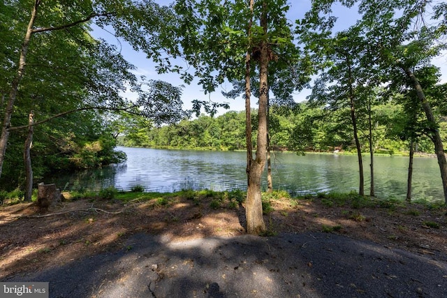 13250 Harbor Dr, Orange, VA 22960 - photo 44